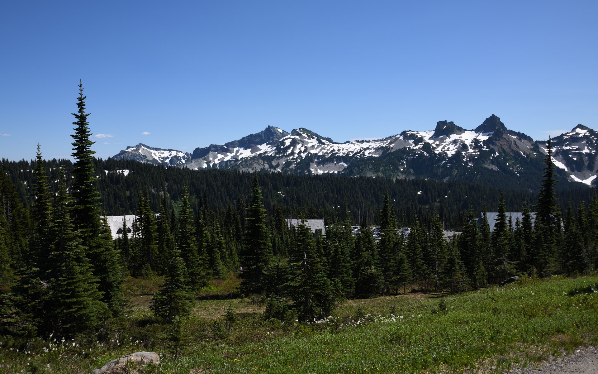 Mount Rainier Peak - Mount Rainier