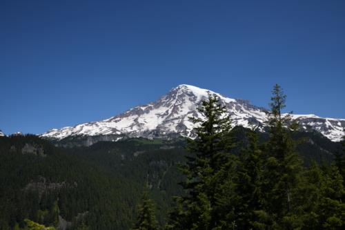 Mount Rainier behind the trees
