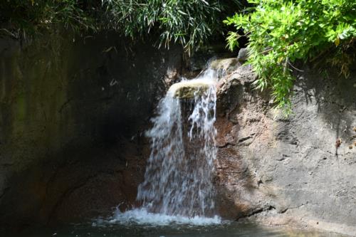 Mini Waterfalls