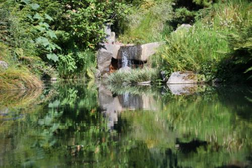 Pond in Kubota Garden, beautiful reflection