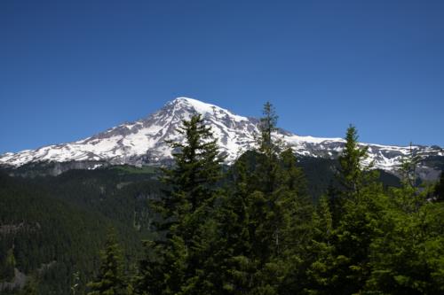 Mount Rainier view behind the trees