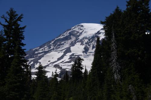 Mount Rainier from the slope