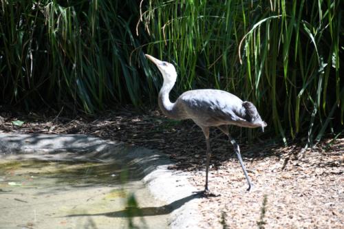 Crane near water