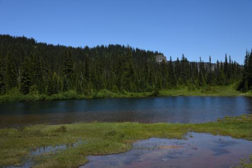 Pale sheet of water, Reflection Lake during summer