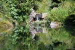 Pond in Kubota Garden, beautiful reflection