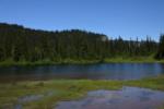 Pale sheet of water, Reflection Lake during summer